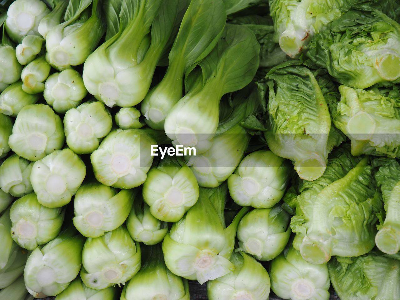 Full frame shot of vegetables for sale in market