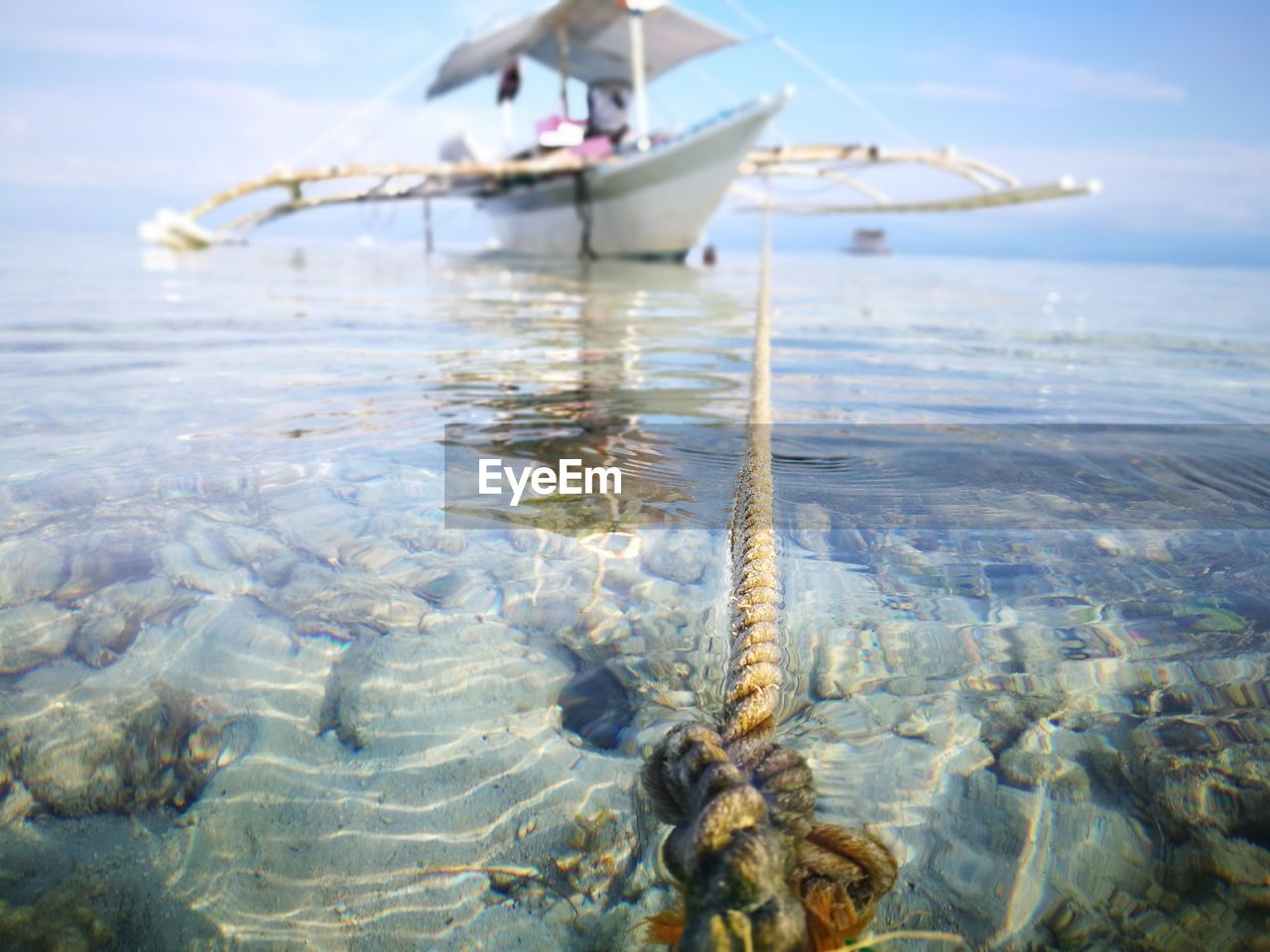 CLOSE-UP OF CRAB IN SEA