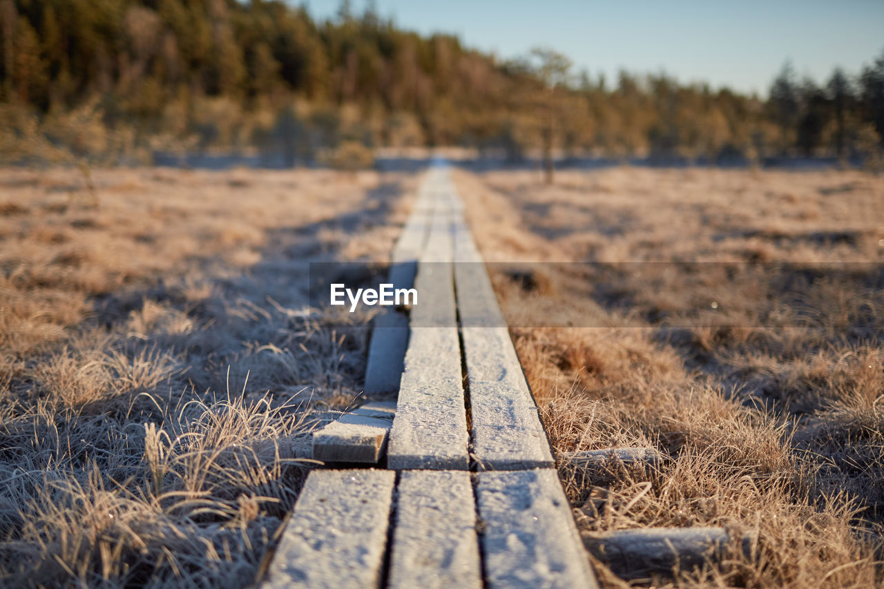 SURFACE LEVEL OF RAILROAD TRACK AMIDST FIELD