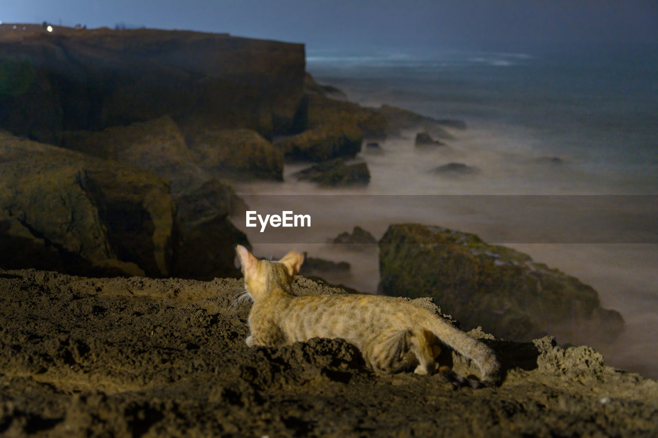 VIEW OF A ROCK ON THE SEA