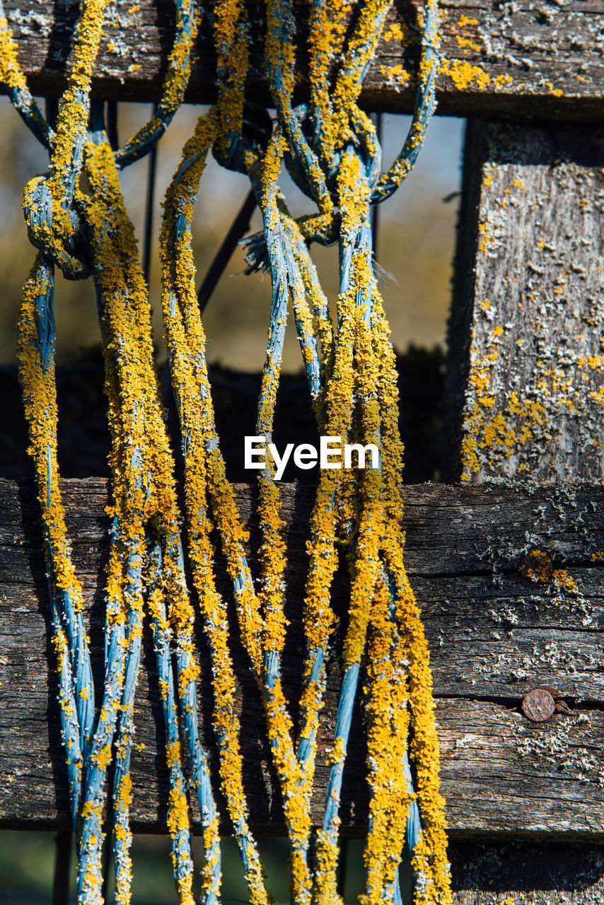 high angle view of rope