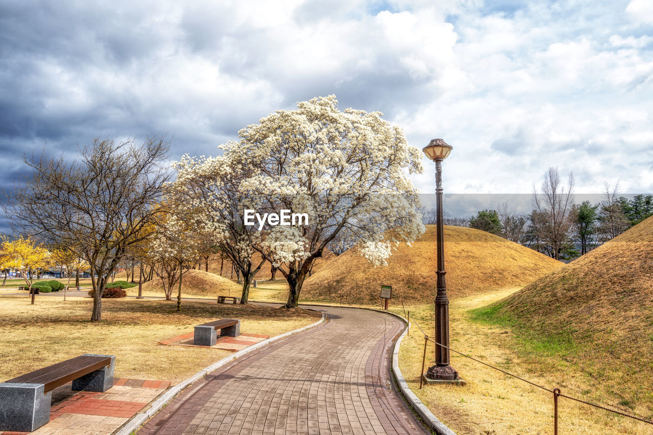 tree, plant, sky, cloud, nature, footpath, no people, road, day, landscape, the way forward, architecture, beauty in nature, rural area, outdoors, transportation, flower, street, bare tree, park, scenics - nature, environment, tranquility, travel destinations, sunlight, park - man made space, autumn, city, grass, tranquil scene, street light