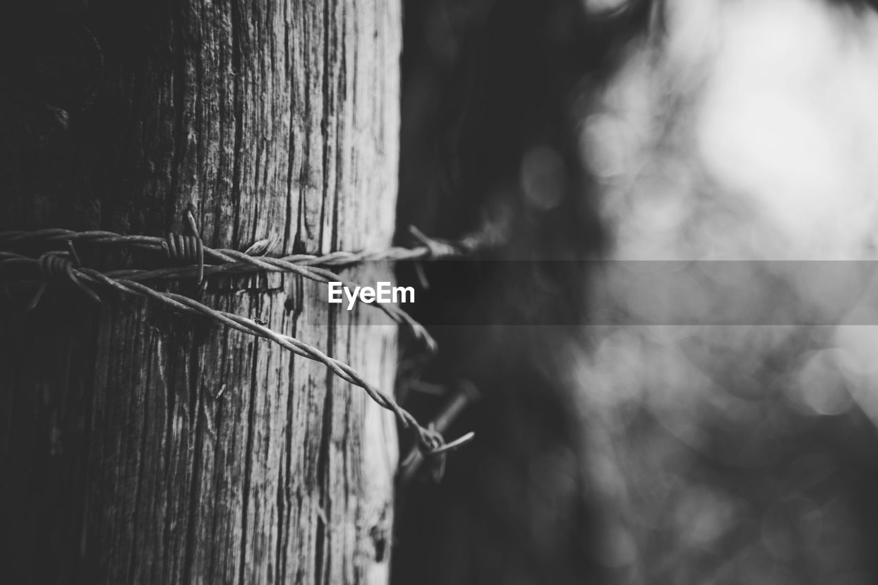 Barbed wire tied on wooden post