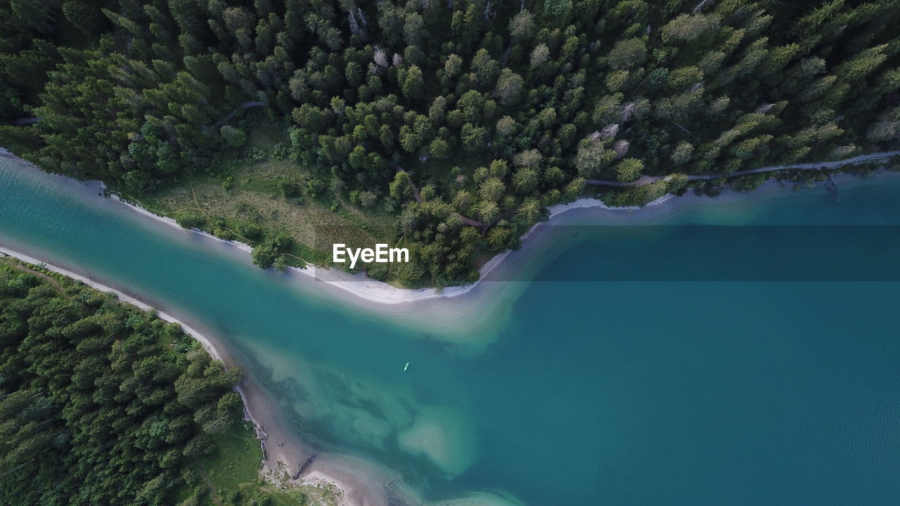 Aerial view of lake by forest