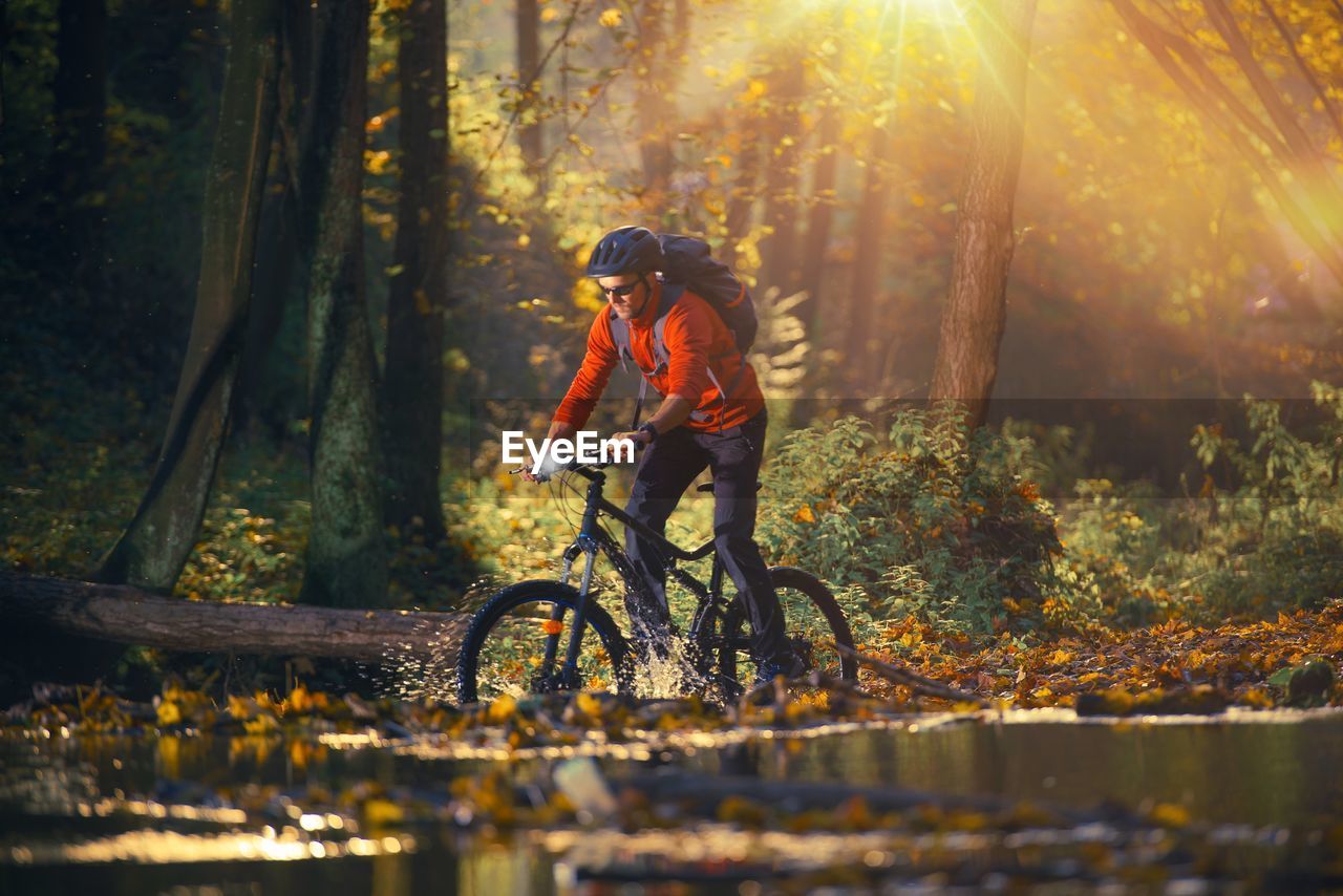 Man cycling amidst forest