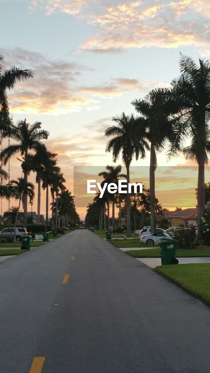 Empty road amidst palm trees against sky during sunset