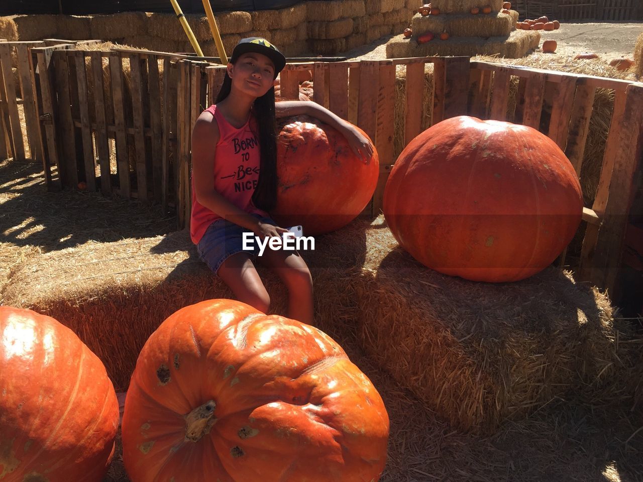 Portrait of girl sitting by large pumpkins on hay bale at farm
