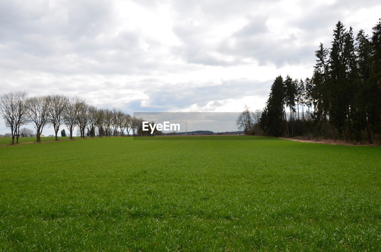 Scenic view of field against sky