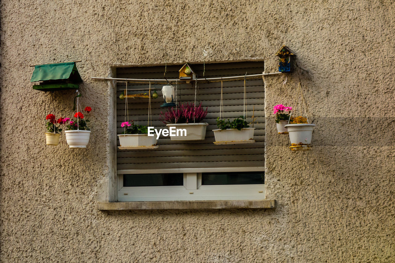 POTTED PLANTS OUTSIDE HOUSE