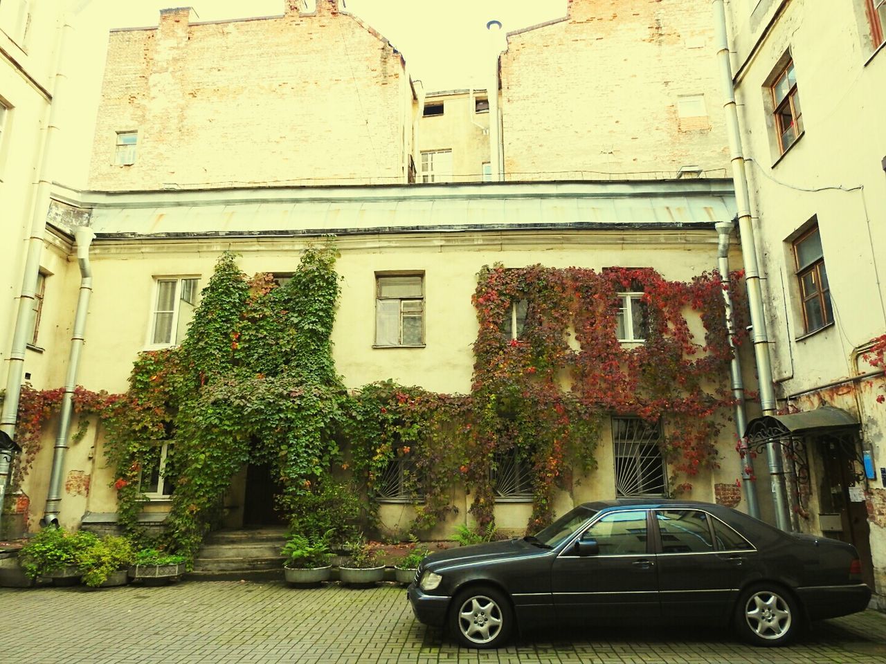 CARS PARKED IN FRONT OF RESIDENTIAL BUILDINGS