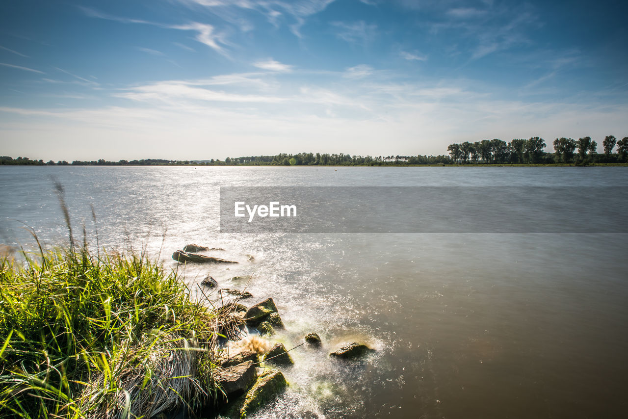 View of forest from riverbank