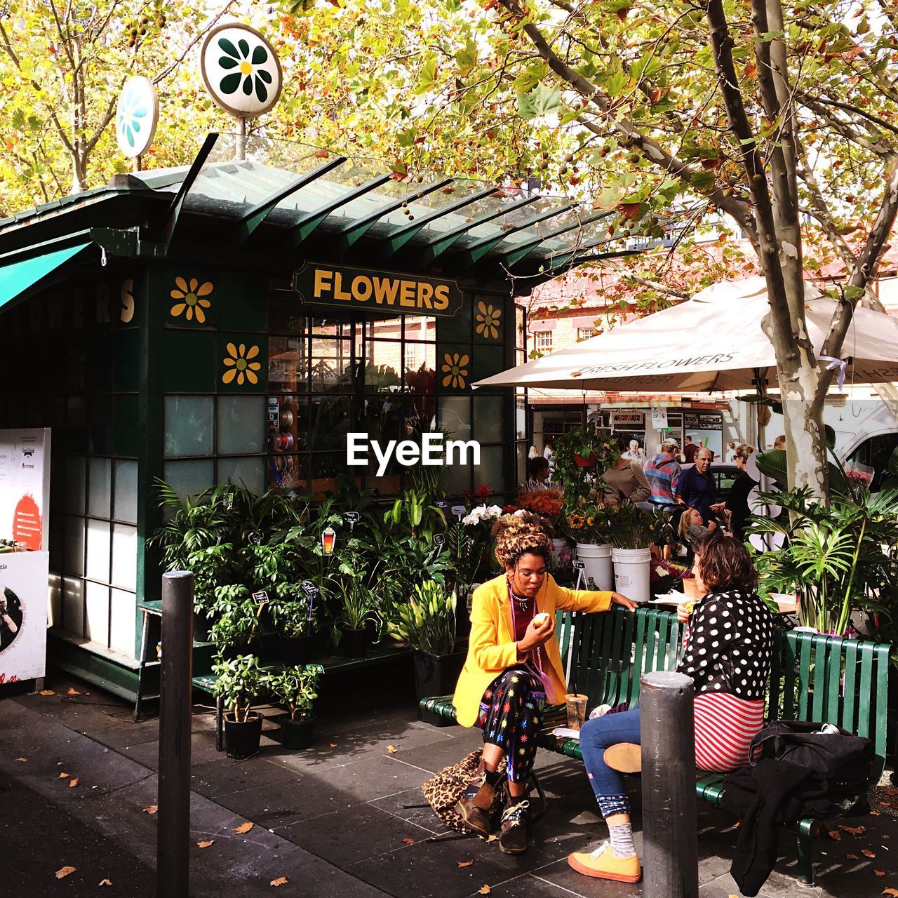 VIEW OF FLOWERS IN THE MARKET