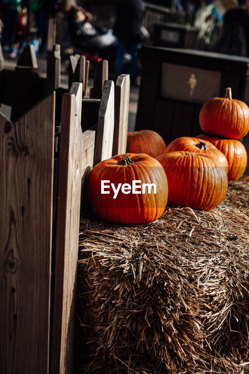 Close-up of pumpkins on table at market stall