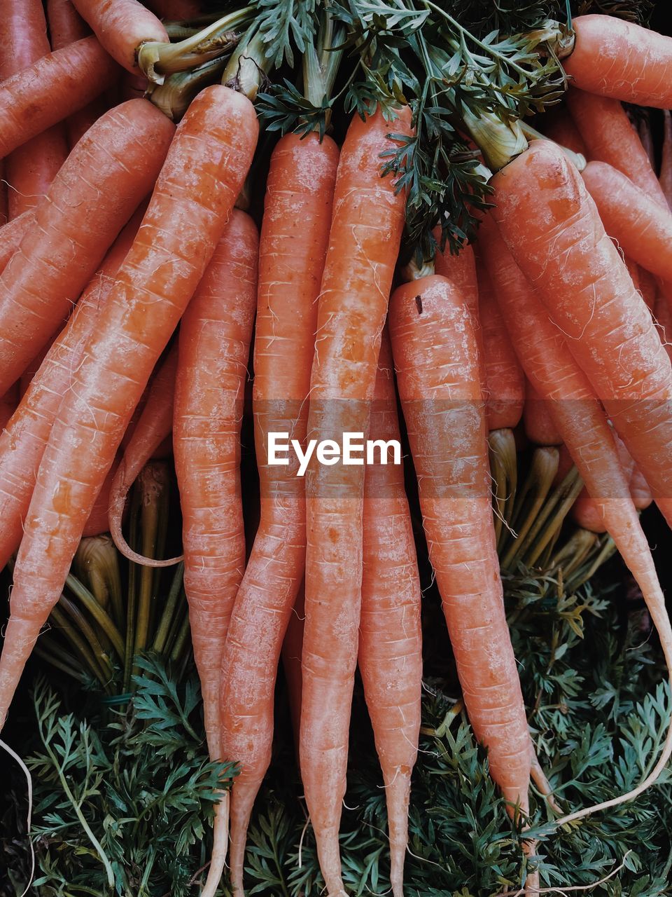 carrot, food, food and drink, root vegetable, healthy eating, freshness, vegetable, wellbeing, produce, organic, no people, orange color, high angle view, large group of objects, market, raw food, day, baby carrot, abundance, retail, close-up, bunch, outdoors, plant, still life