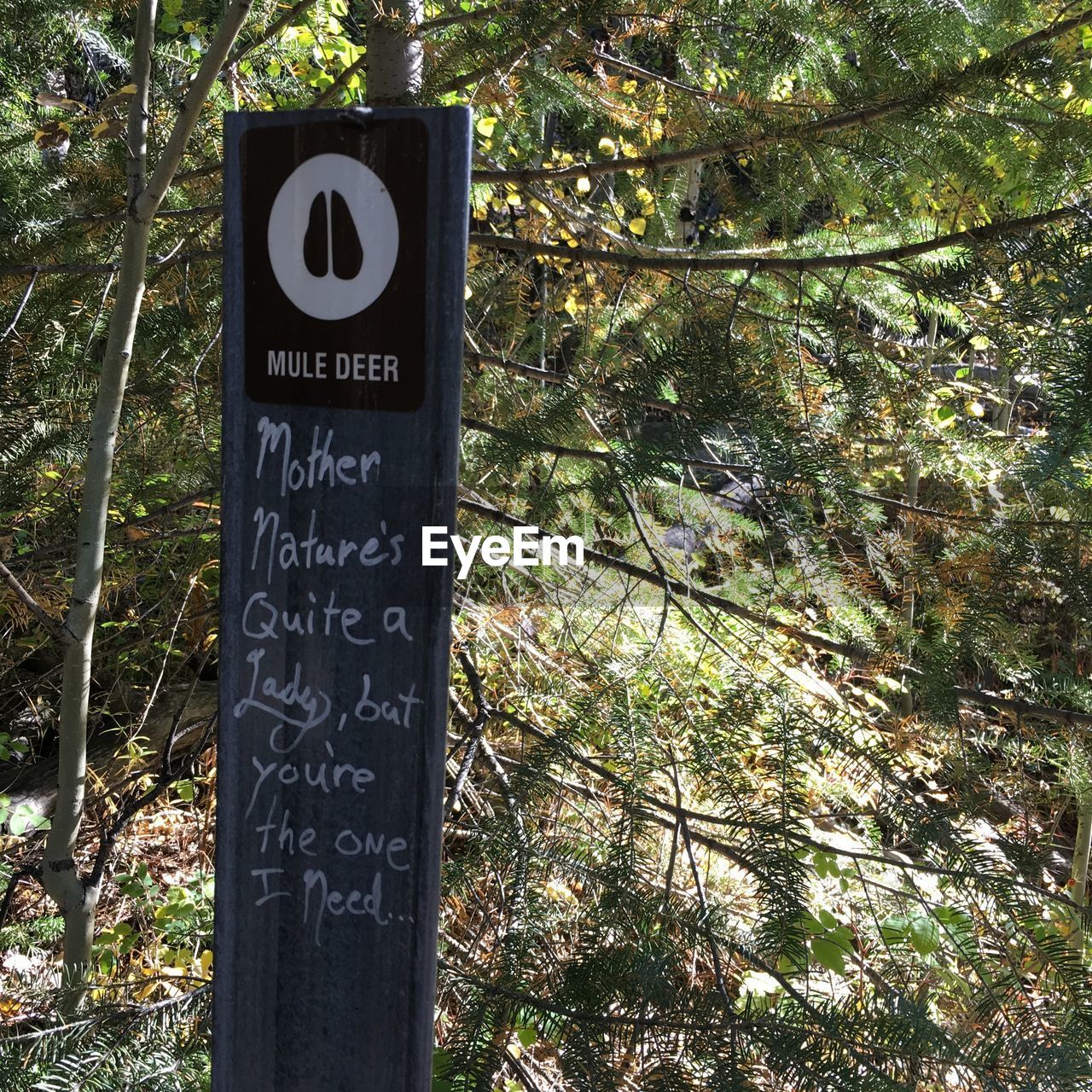 CLOSE-UP OF INFORMATION SIGN