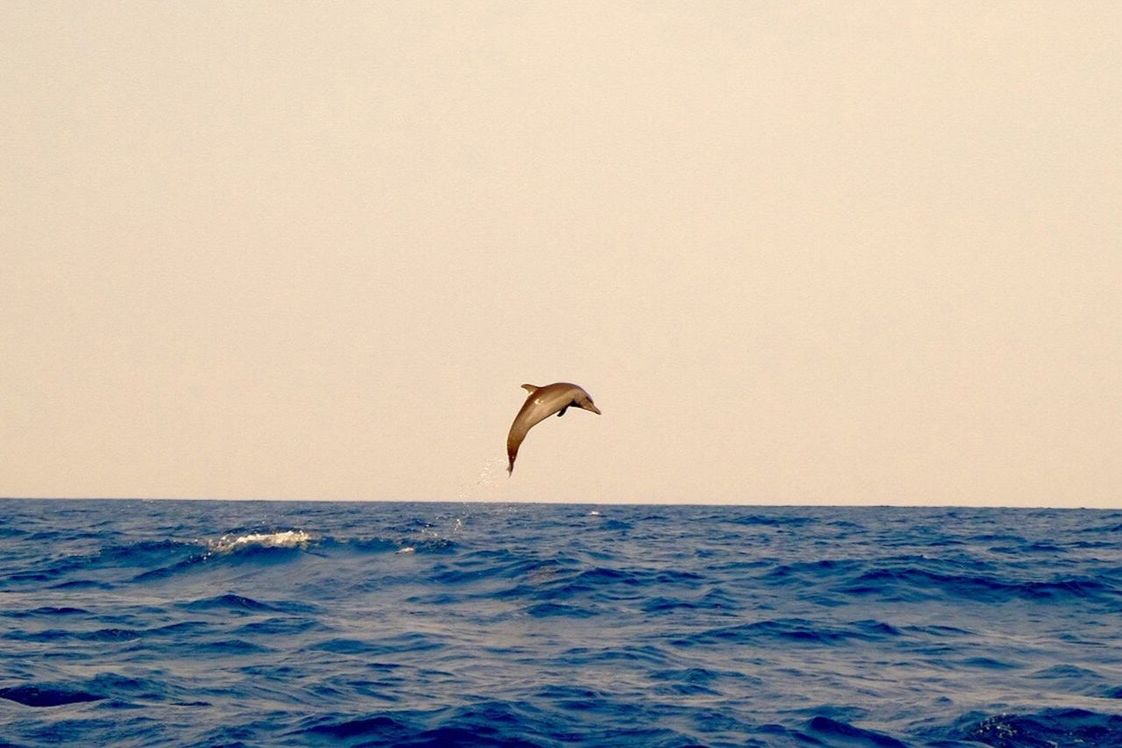 WAVES FLYING OVER SEA