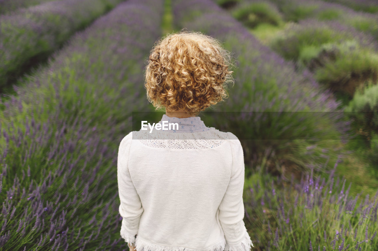 Rear view of woman against a lavender field