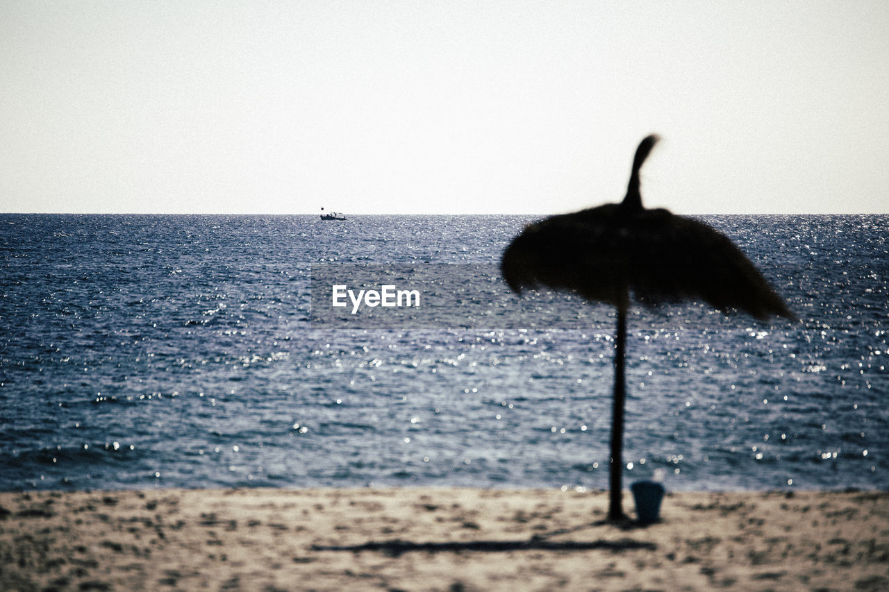 SILHOUETTE BIRD ON SHORE AGAINST CLEAR SKY