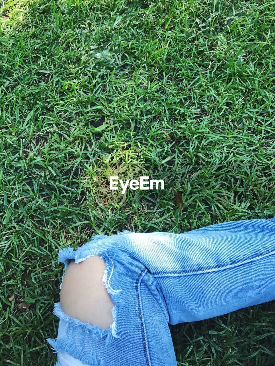 Midsection of woman wearing torn jeans on field