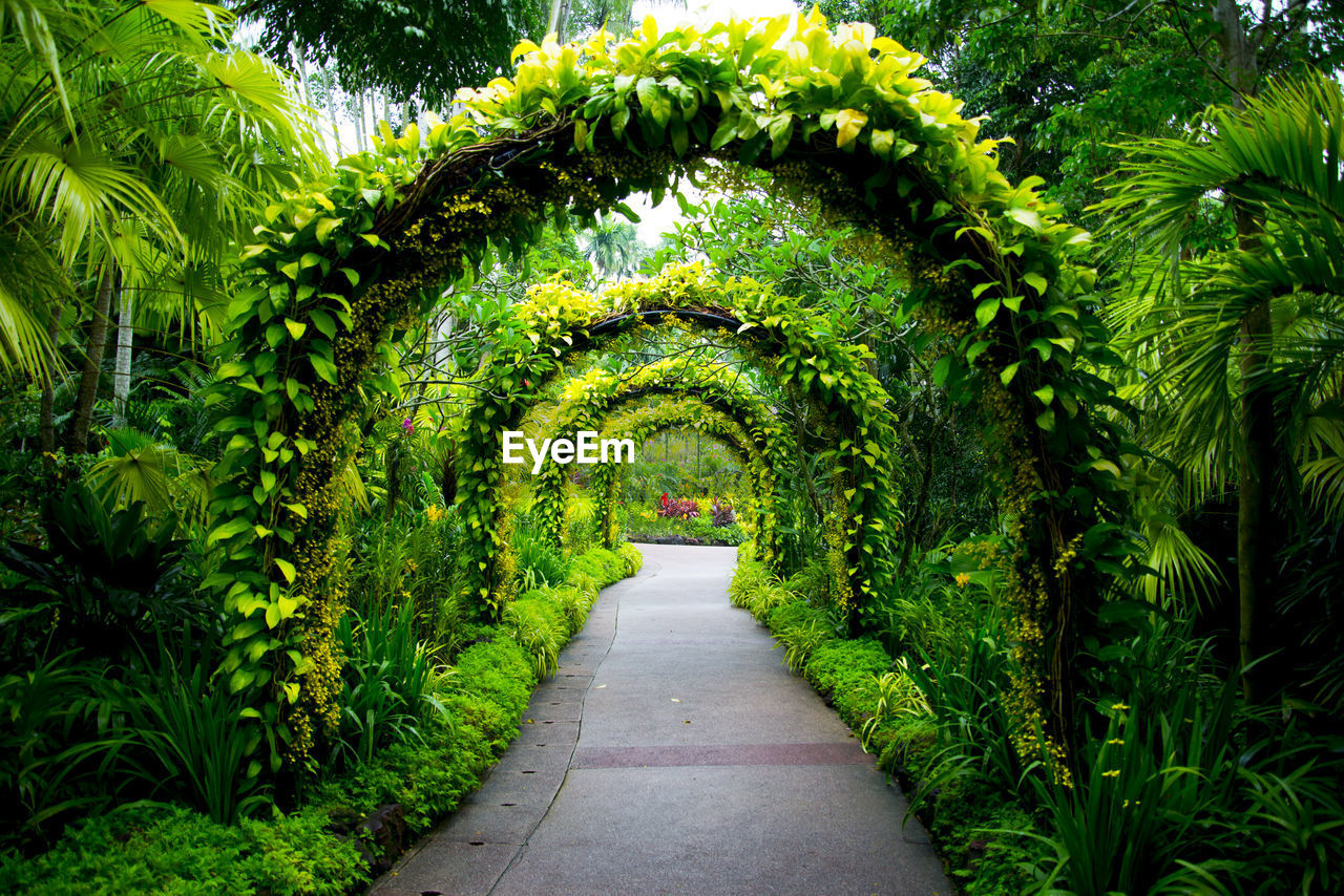 VIEW OF FORMAL GARDEN