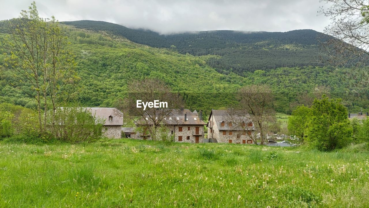 plant, landscape, architecture, land, tree, building, grass, built structure, environment, mountain, nature, rural area, house, field, rural scene, green, building exterior, scenics - nature, meadow, residential district, highland, beauty in nature, no people, cloud, sky, mountain range, pasture, village, growth, agriculture, hut, non-urban scene, tranquility, outdoors, valley, plain, travel destinations, history, day, travel, tranquil scene, social issues, forest, the past, foliage, lush foliage, flower, tourism, idyllic, agricultural building