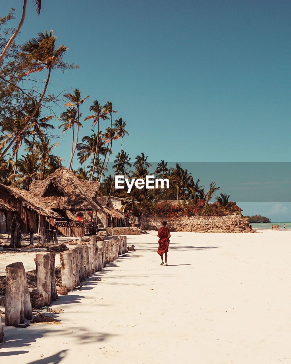 Rear view of man walking at beach against clear sky