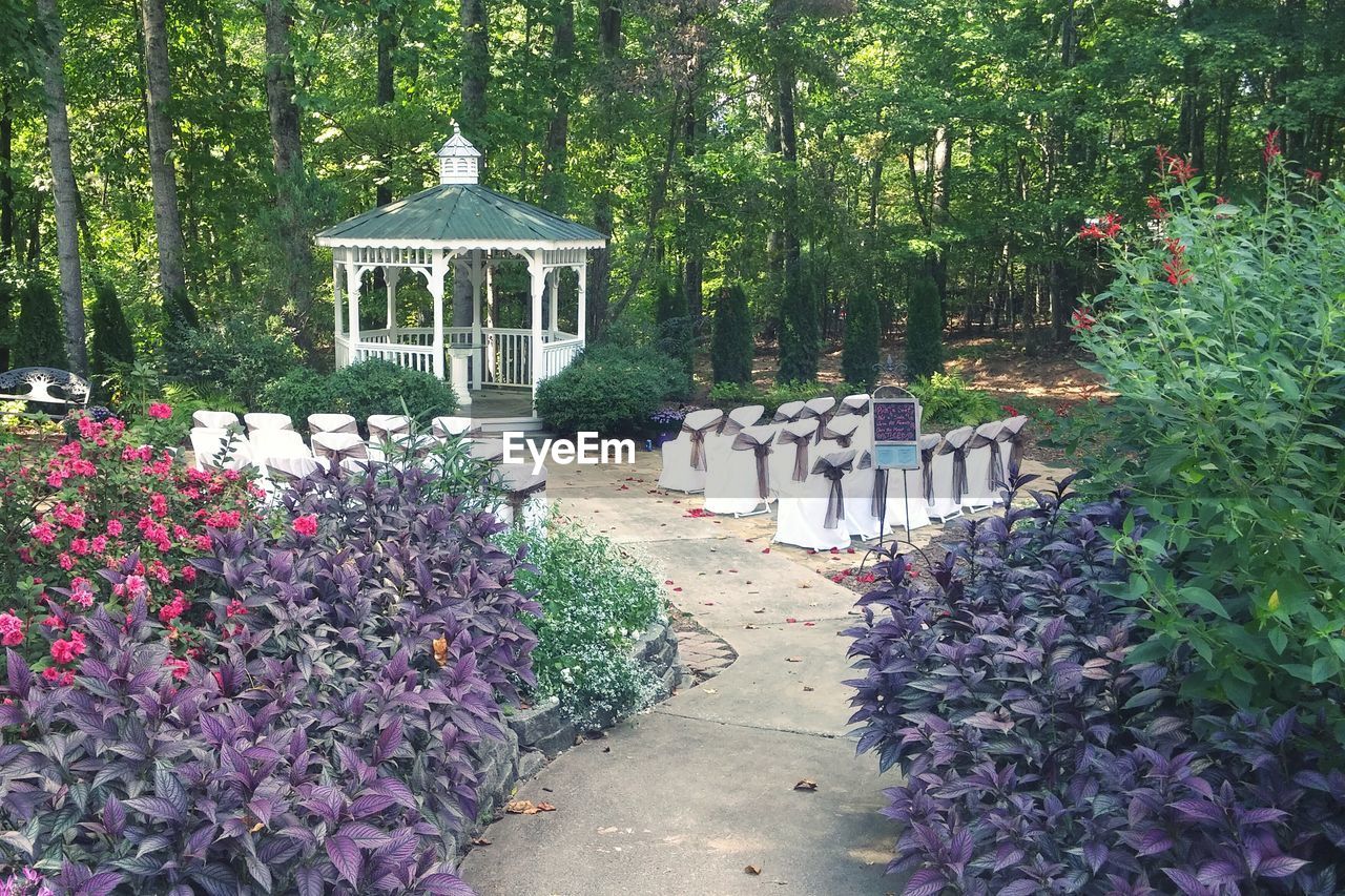 Plants and trees in park