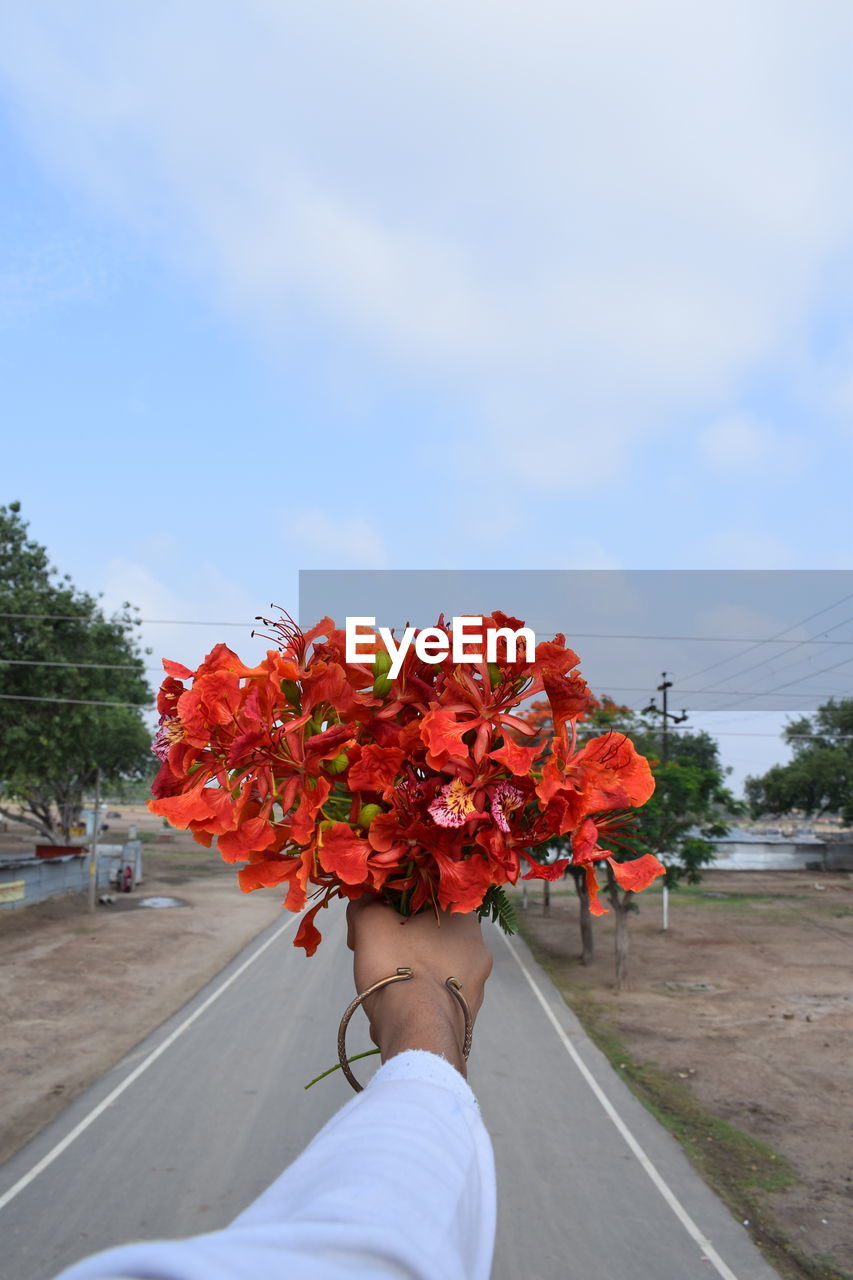 plant, flower, flowering plant, nature, red, one person, spring, sky, hand, day, tree, adult, holding, outdoors, freshness, beauty in nature, blue, bouquet, leaf, flower arrangement, growth, lifestyles, close-up, men, architecture