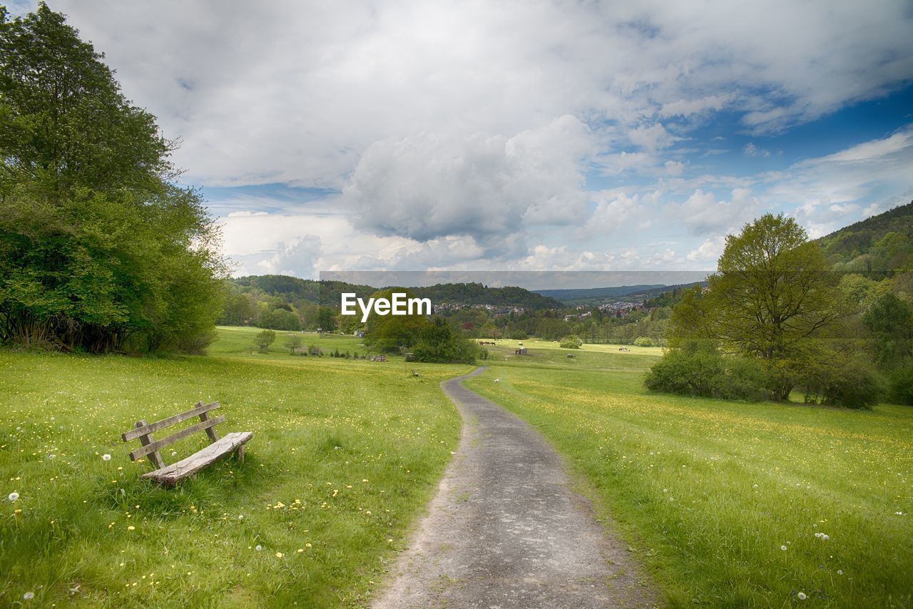 Empty road amidst trees against sky