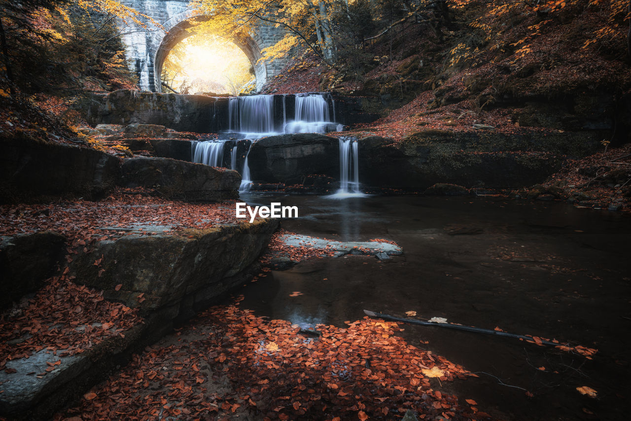 WATERFALL IN FOREST