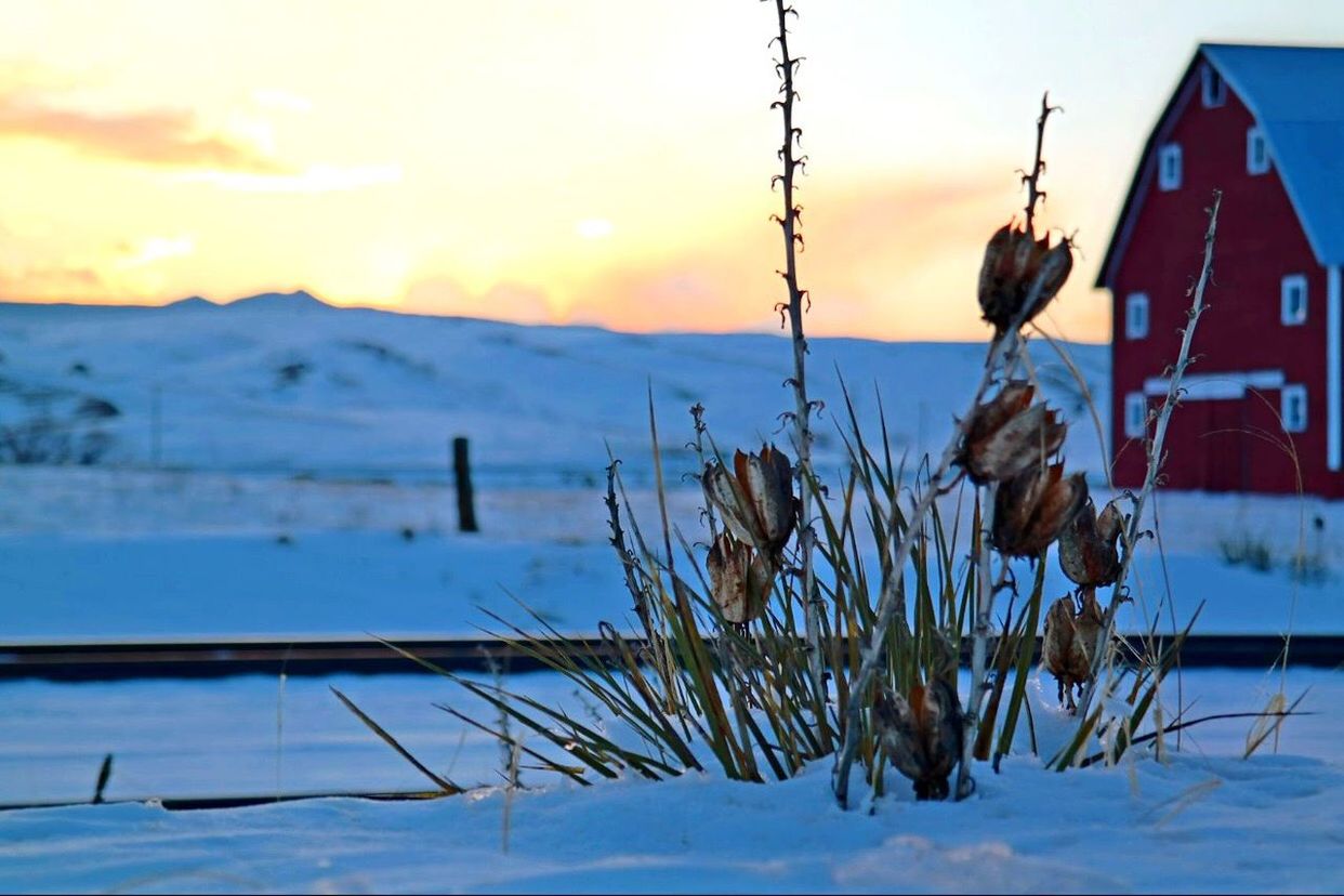 SCENIC VIEW OF LANDSCAPE AT SUNSET