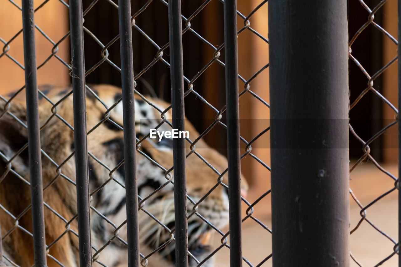 FULL FRAME SHOT OF METAL FENCE BY BUILDING