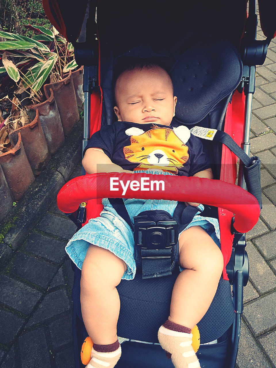 child, childhood, baby, one person, full length, sitting, cute, toddler, babyhood, innocence, high angle view, portrait, front view, lifestyles, baby carriage, men, looking at camera, day, casual clothing, baby clothing, playground, outdoors, person, holding, leisure activity, toy