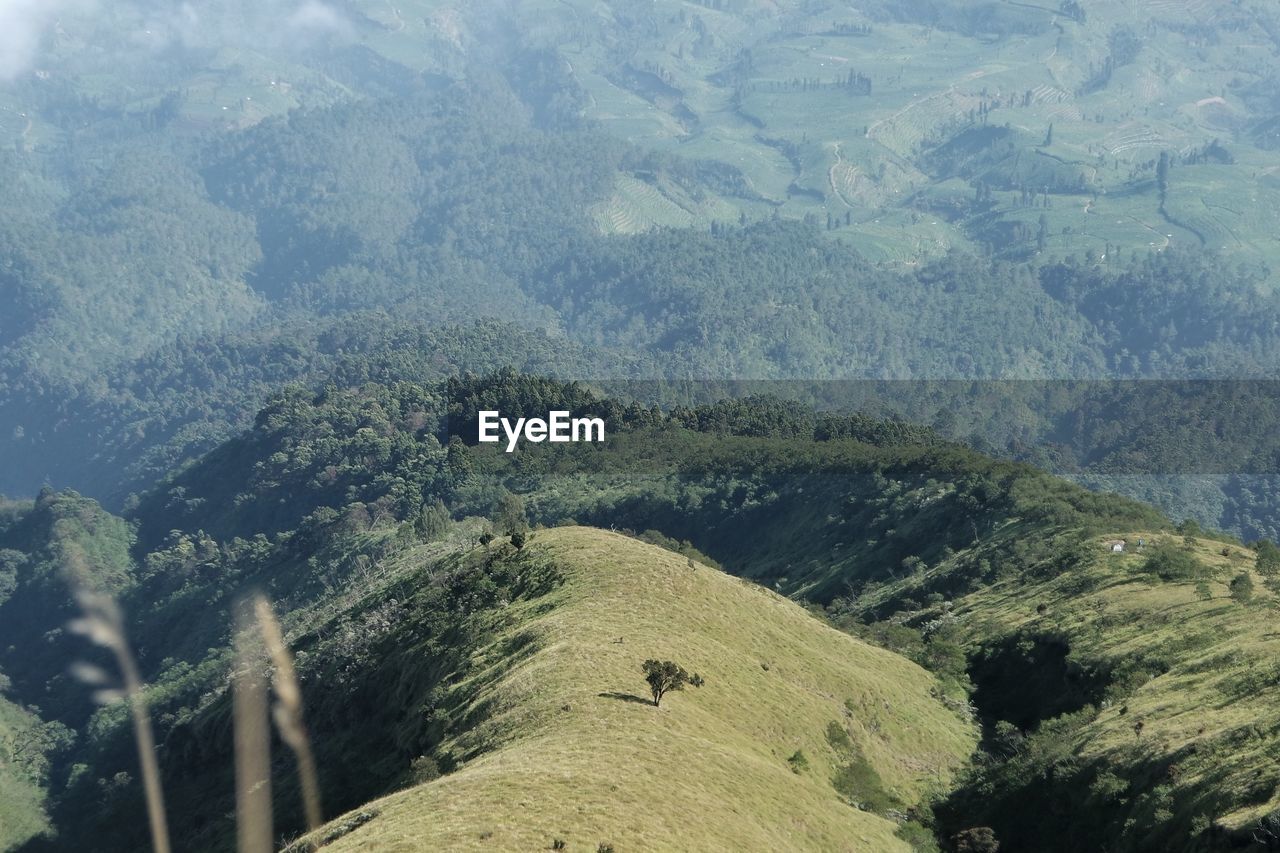 HIGH ANGLE VIEW OF MOUNTAIN LANDSCAPE