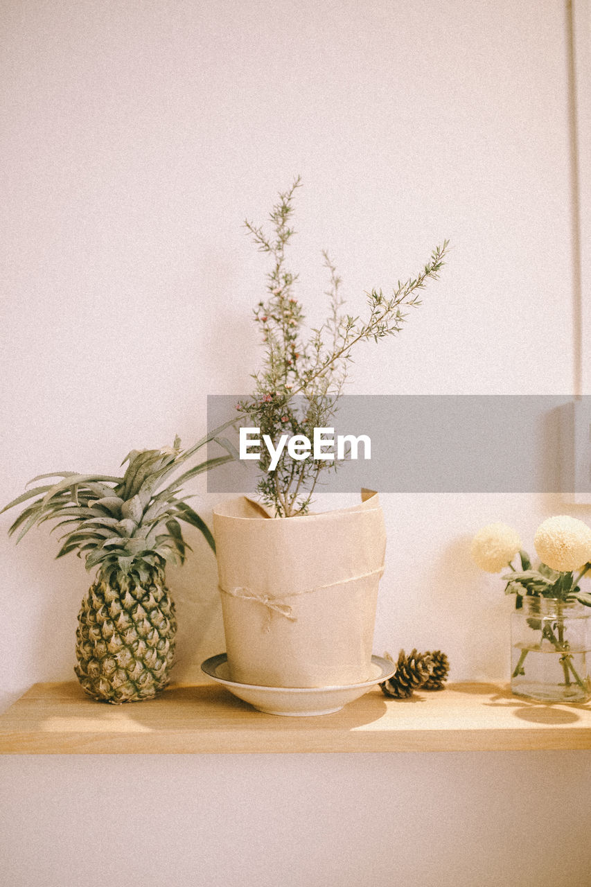 Close-up of potted plant on table