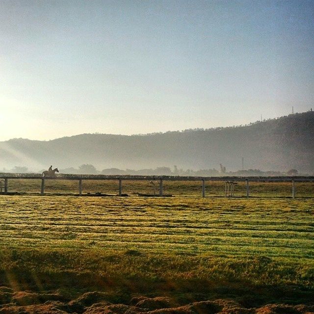 VIEW OF RURAL LANDSCAPE