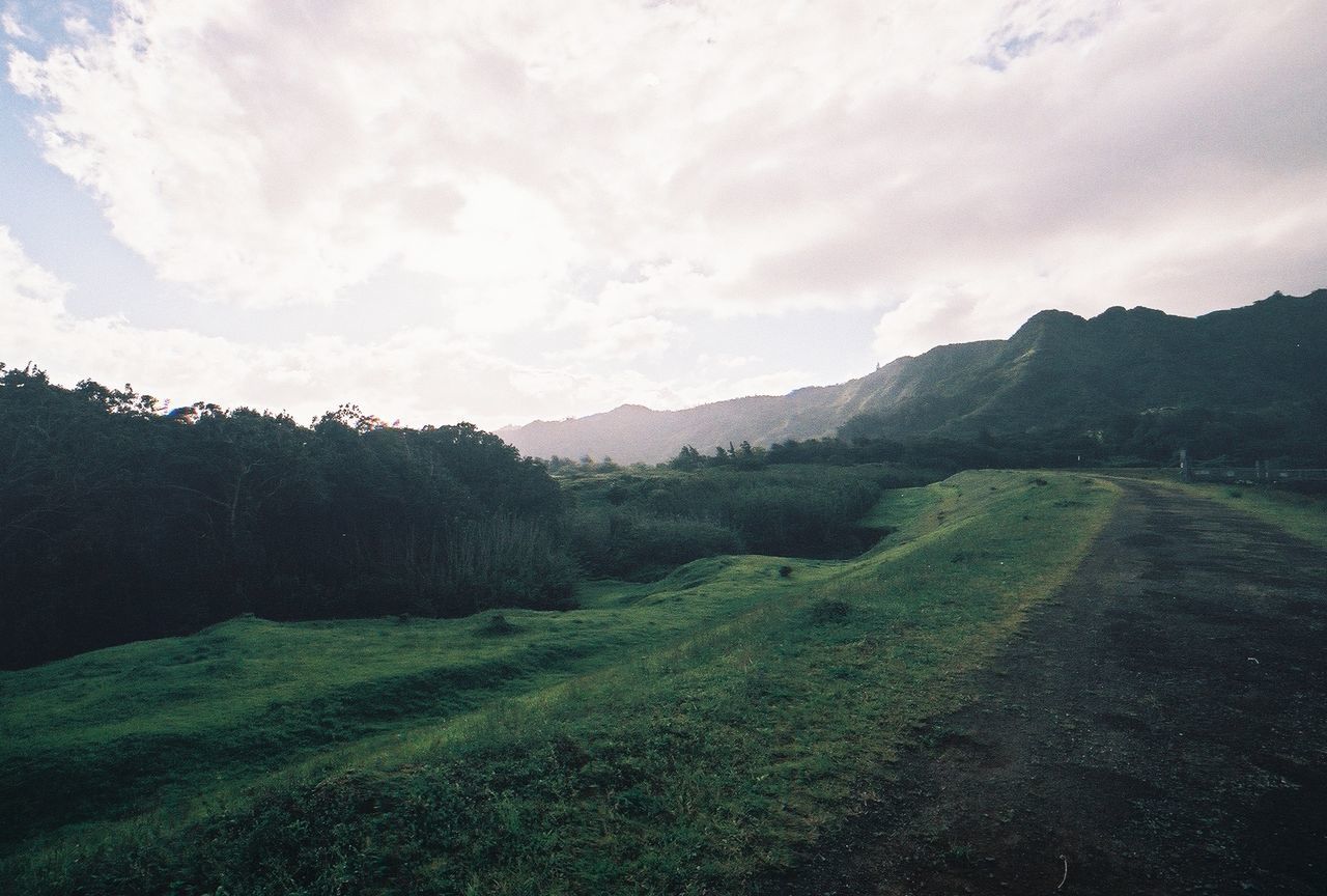 View of green landscape against cloudy sky