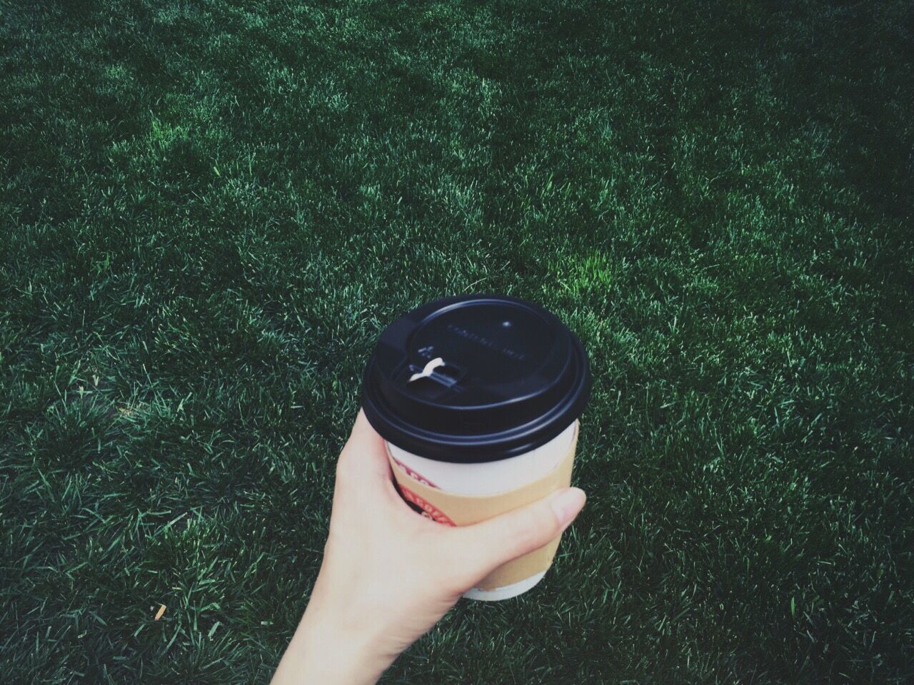 Cropped image of person holding disposable coffee cup on field