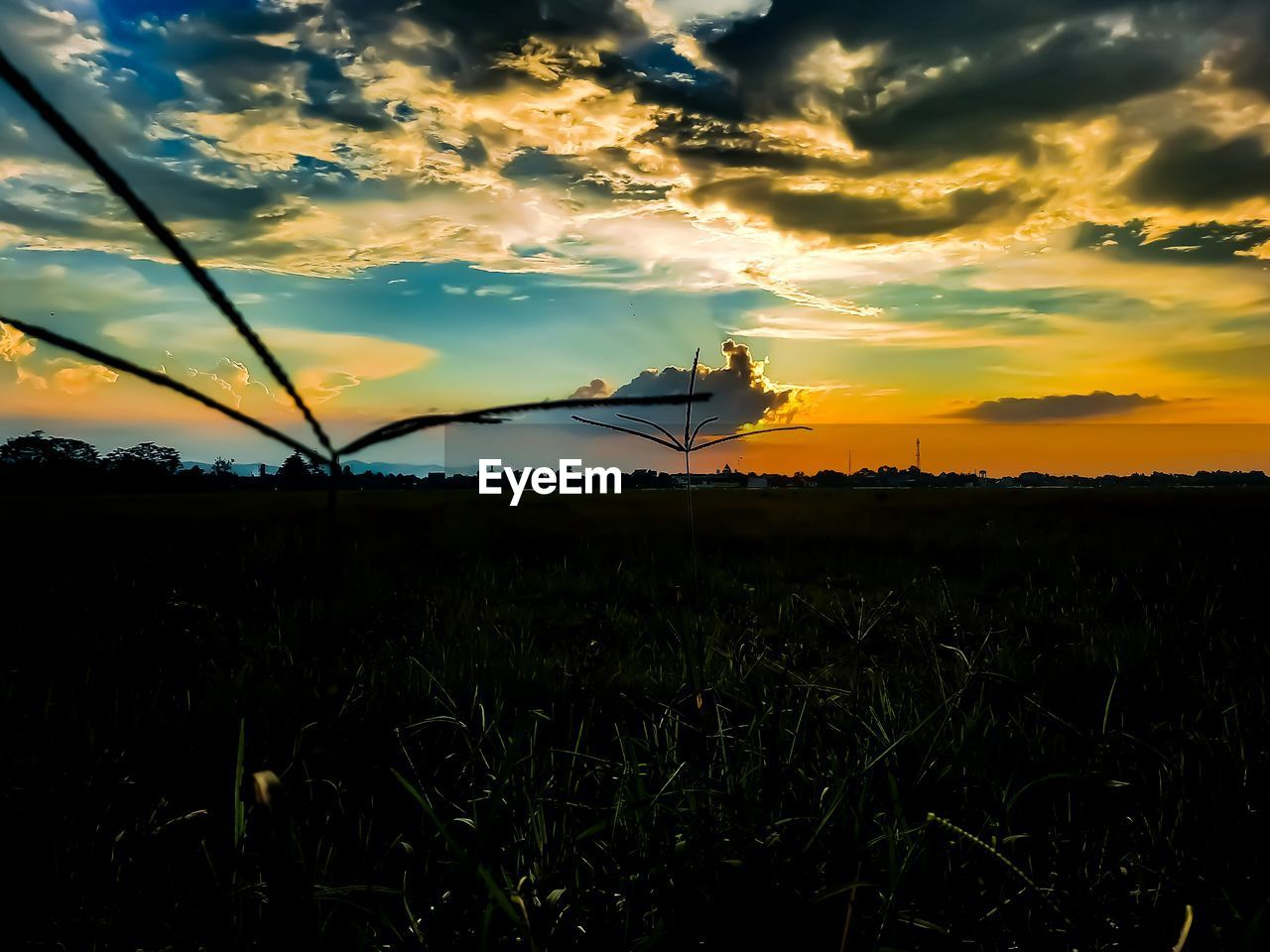 SCENIC VIEW OF FIELD AGAINST SKY DURING SUNSET