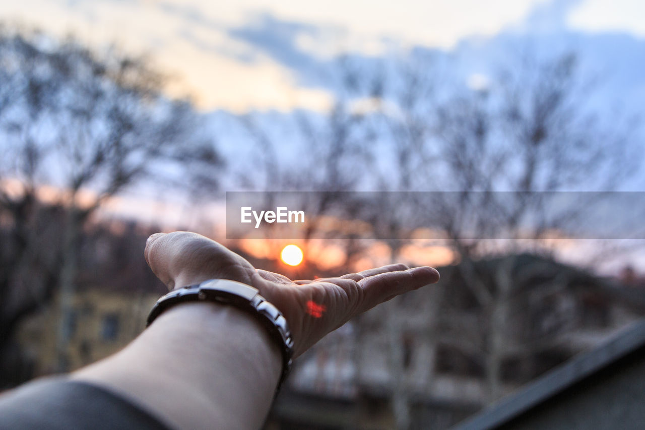 Cropped hand against bare trees during sunset