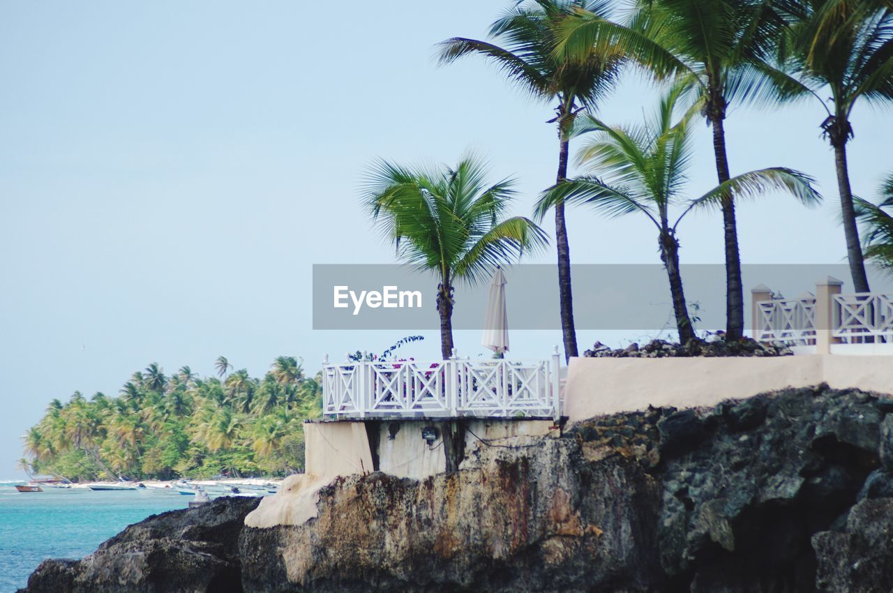 Palm trees growing on cliff by sea against clear sky