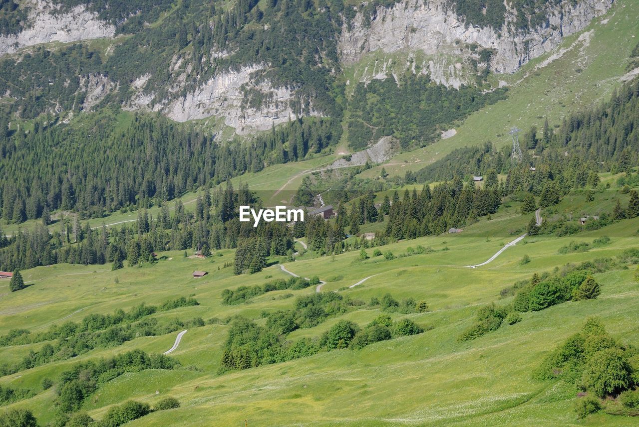 Scenic view of mountainous landscape in summer