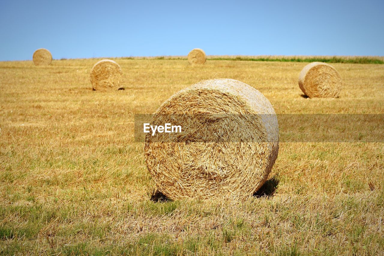 Hay bales on field