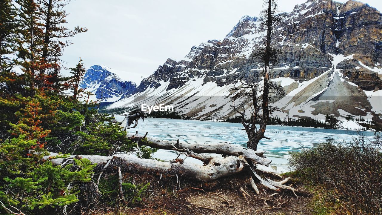 SCENIC VIEW OF SNOWCAPPED MOUNTAIN AGAINST SKY