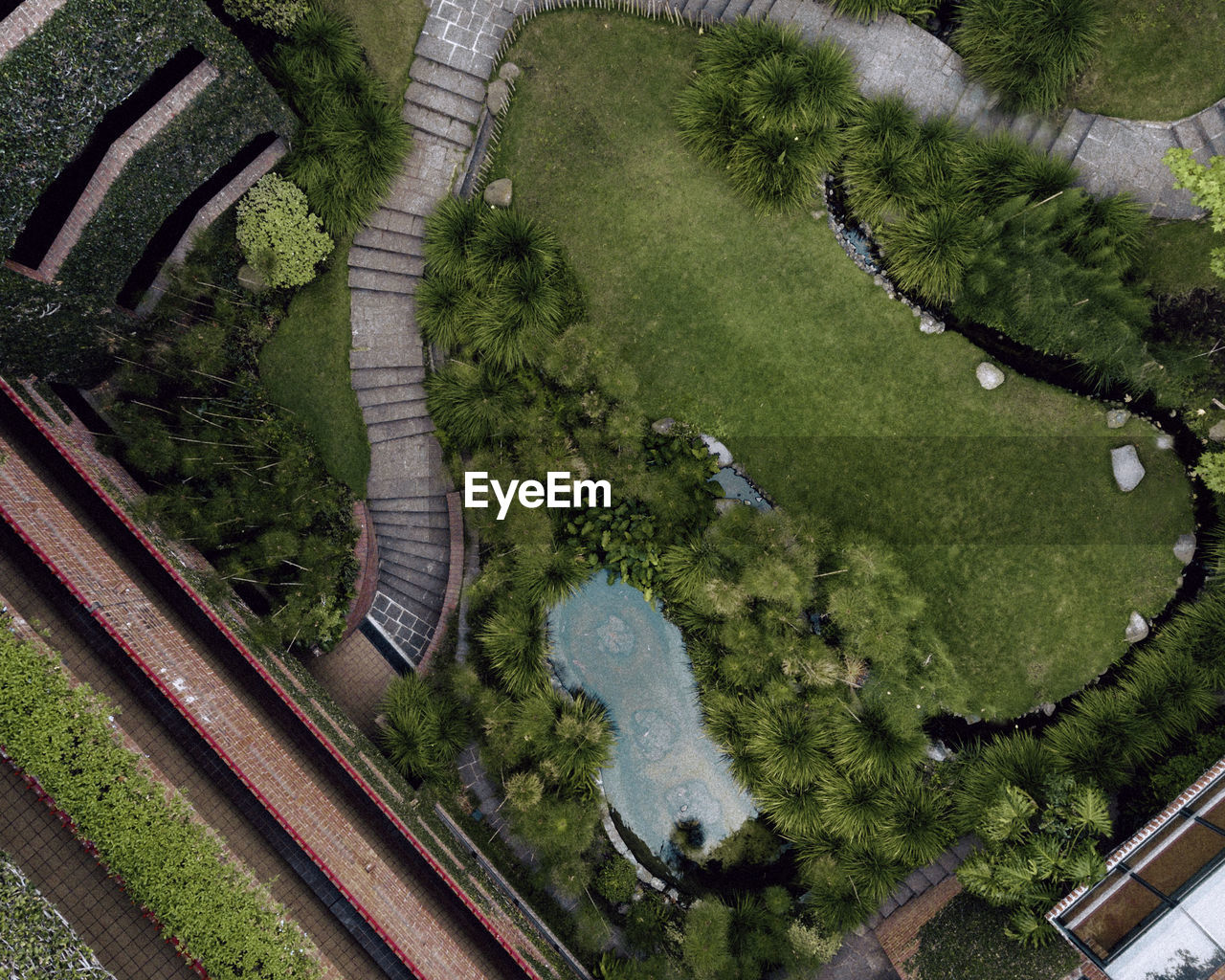 Drone view of trees and plants in park