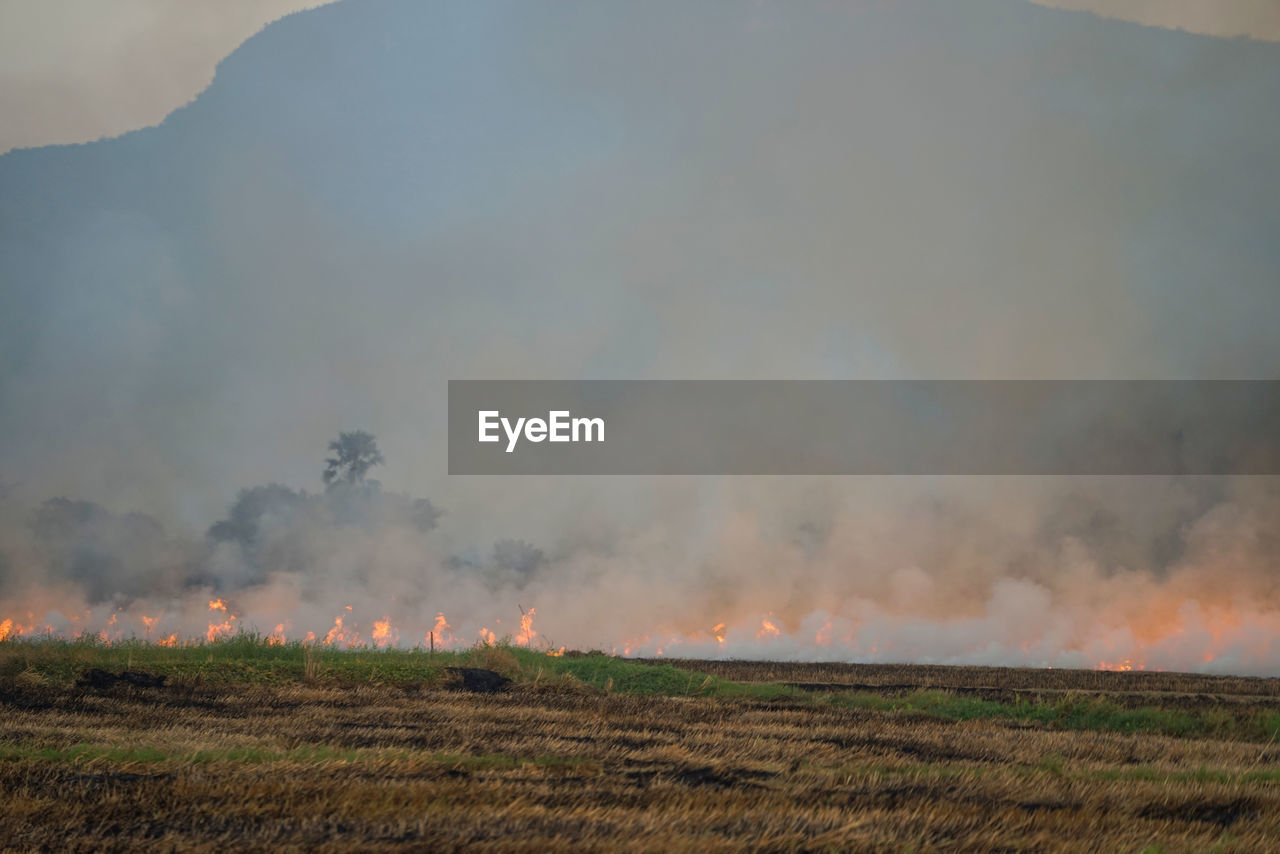 The agricultural waste burning cause of smog and pollution