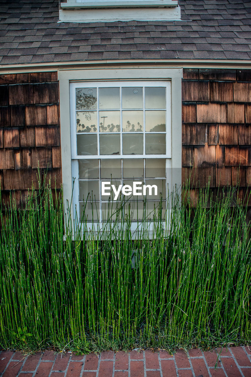 PLANTS GROWING IN FRONT OF HOUSE