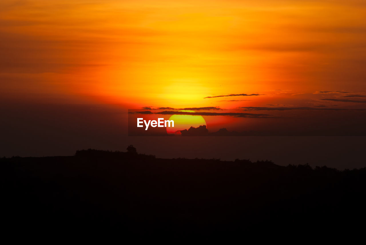 SILHOUETTE TREES AGAINST ORANGE SKY