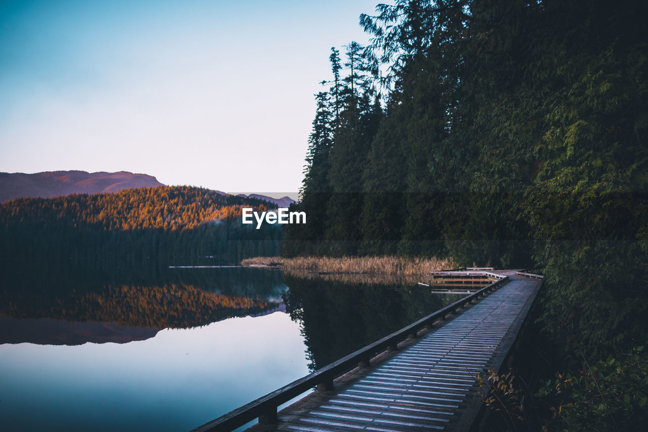 Scenic view of lake in forest against sky