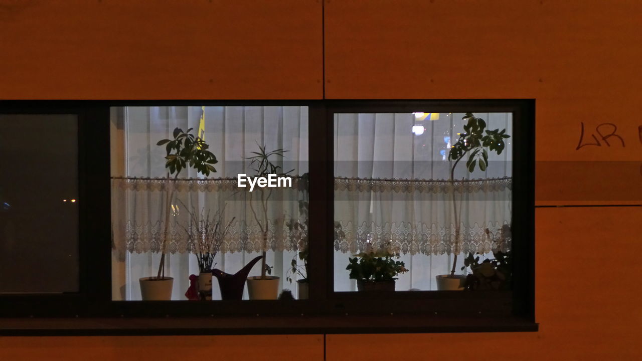 window, indoors, illuminated, curtain, home interior, no people, night, tree